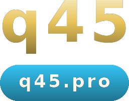 q45 logo
